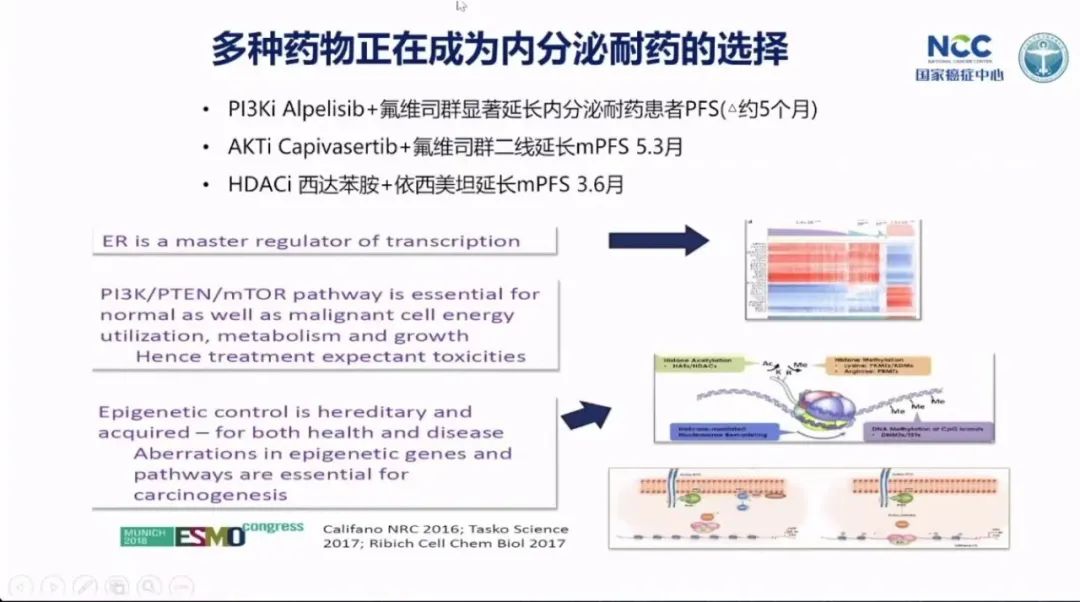 乳腺癌攻克,徐兵河乳腺癌晚期生存期