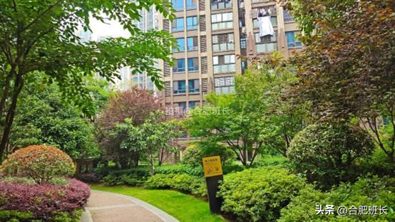 滨湖假日金榈园带院子,合肥滨湖蓝鼎假日金榈园房价