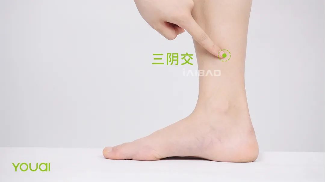 惊蛰的养生调理方案,中医谈惊蛰节气养生方案