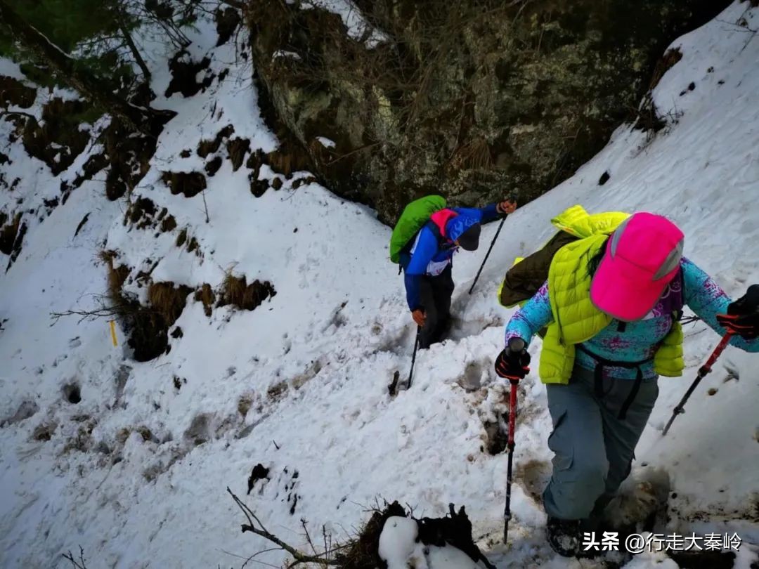 首阳山穿越大坪梁景色怎么样,大坪梁穿越到首阳山攻略