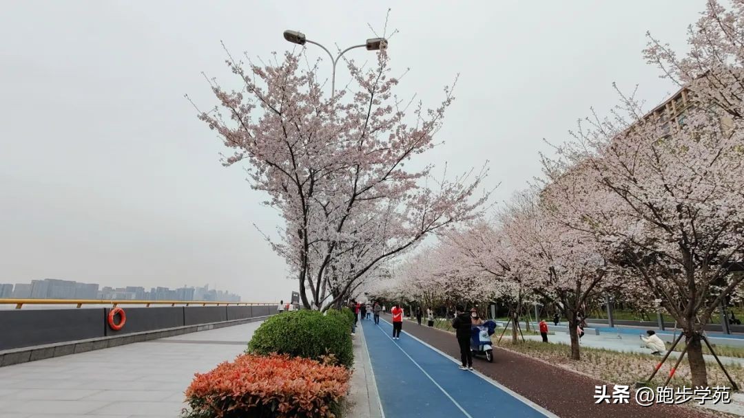 半马pb71,半马pb82