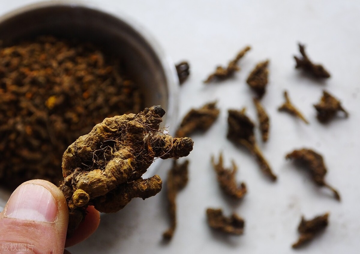 肝火旺引起的胃火口臭吃什么中药,肝火胃痛吃什么中药