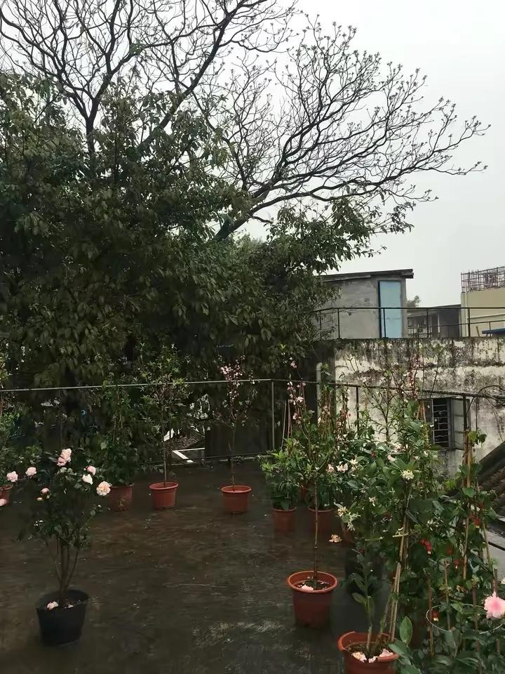 如何花最少的钱改造出租屋,怎样花最少的钱布置出租房