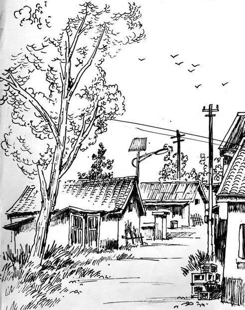 有关二丫的小说,二丫小说