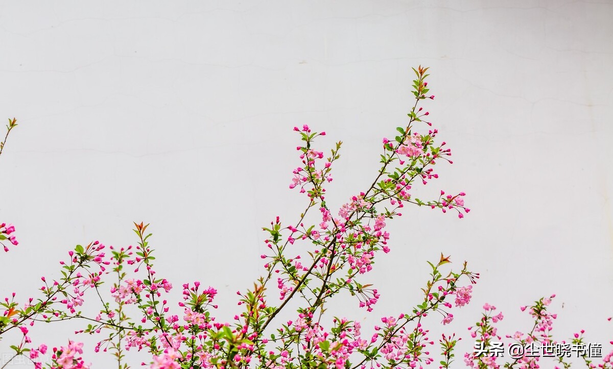 一首经典的哲理词！每一句都是至理名言，值得我们细细品读