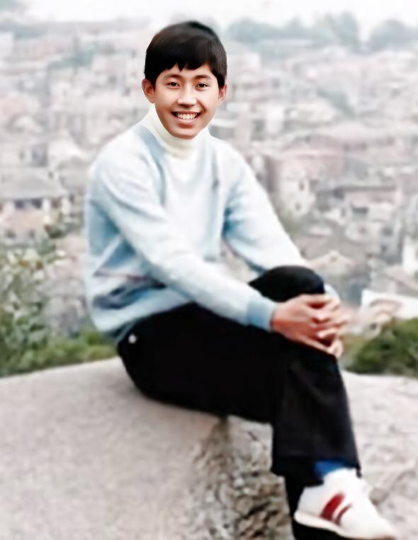 毛宁在90年代在乐坛什么地位,华语乐坛顶流毛宁