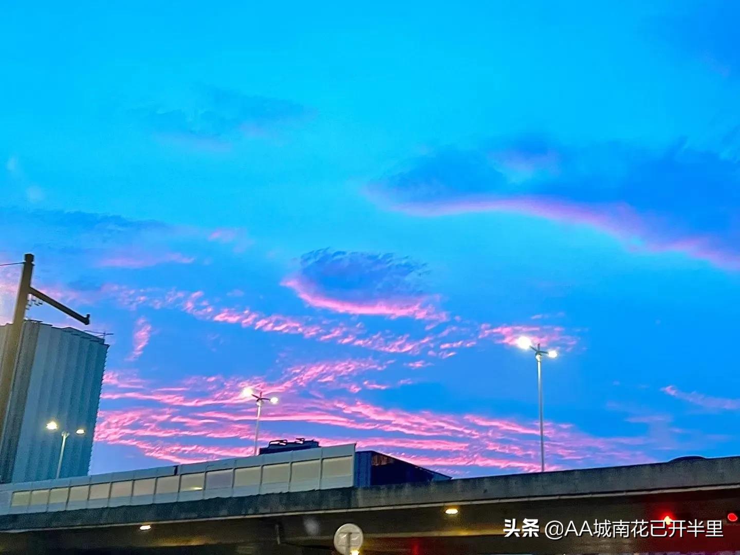 云南农大招生简章火了,云南农大招生简章是什么梗