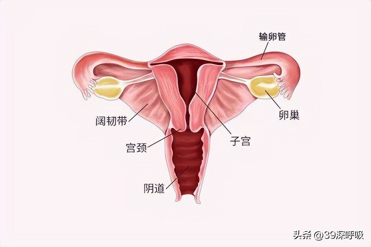 17岁女生从没来过月经，医生妙手为她重塑“女儿身”