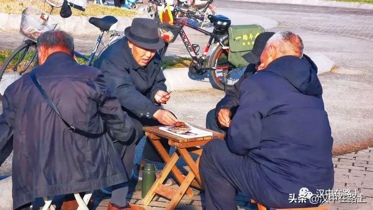 冬泳爱好者低温中畅游泳,冬泳爱好者激情畅游越冷越泳