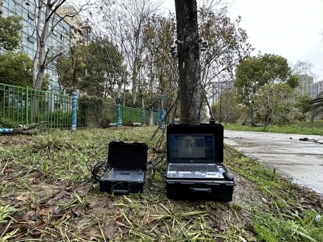 树木诊断中要注意哪些问题,树木健康监测与日常养护