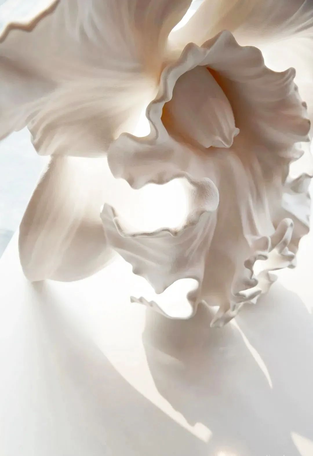 本则摩恩设计,本则木作工作室