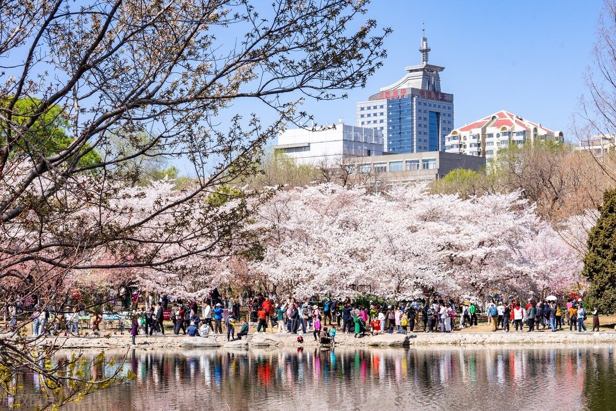 海淀区文旅局官网,文旅海淀第五期