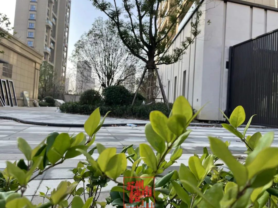 注意！沉寂多年的“僵尸盘”开始上市！