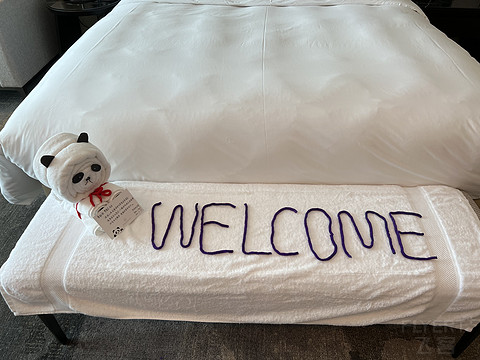 窗含西岭千秋雪成都环球中心雪山,窗含西岭千秋雪魅力成都