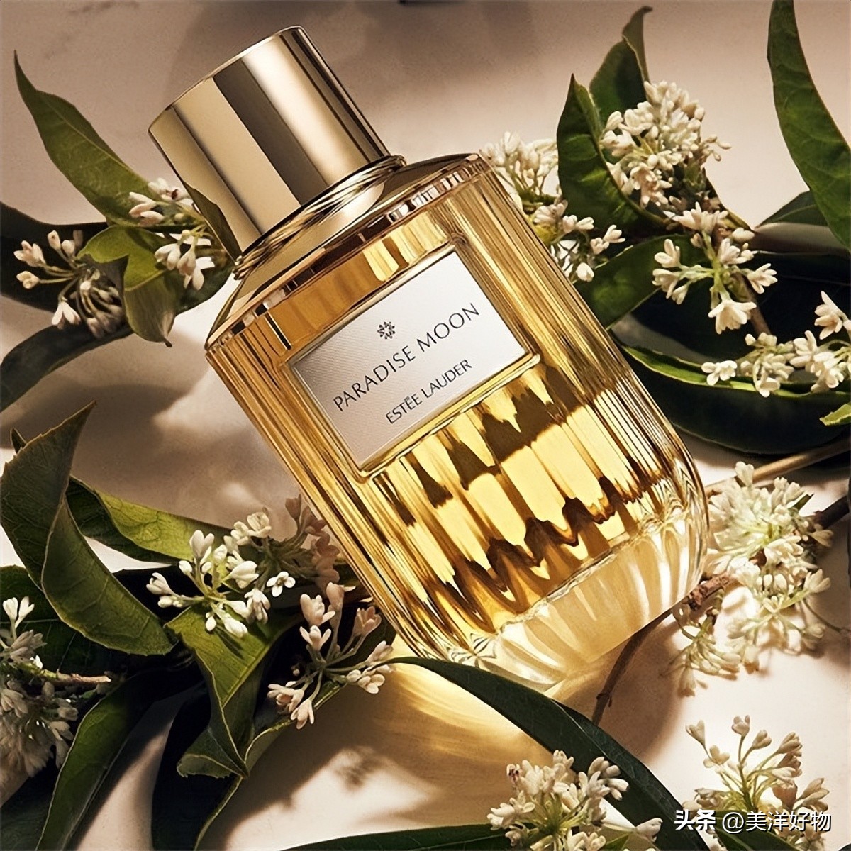 香水排行榜前十名雅诗兰黛,香水推荐大牌100左右秋冬女