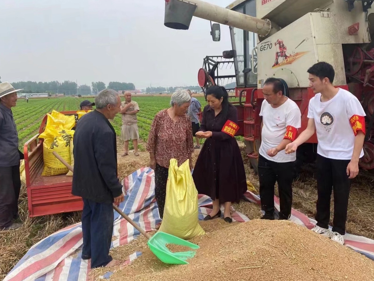 在希望的田野上——记周口市淮阳区冯塘乡丁洼村驻村第一书记孙艳
