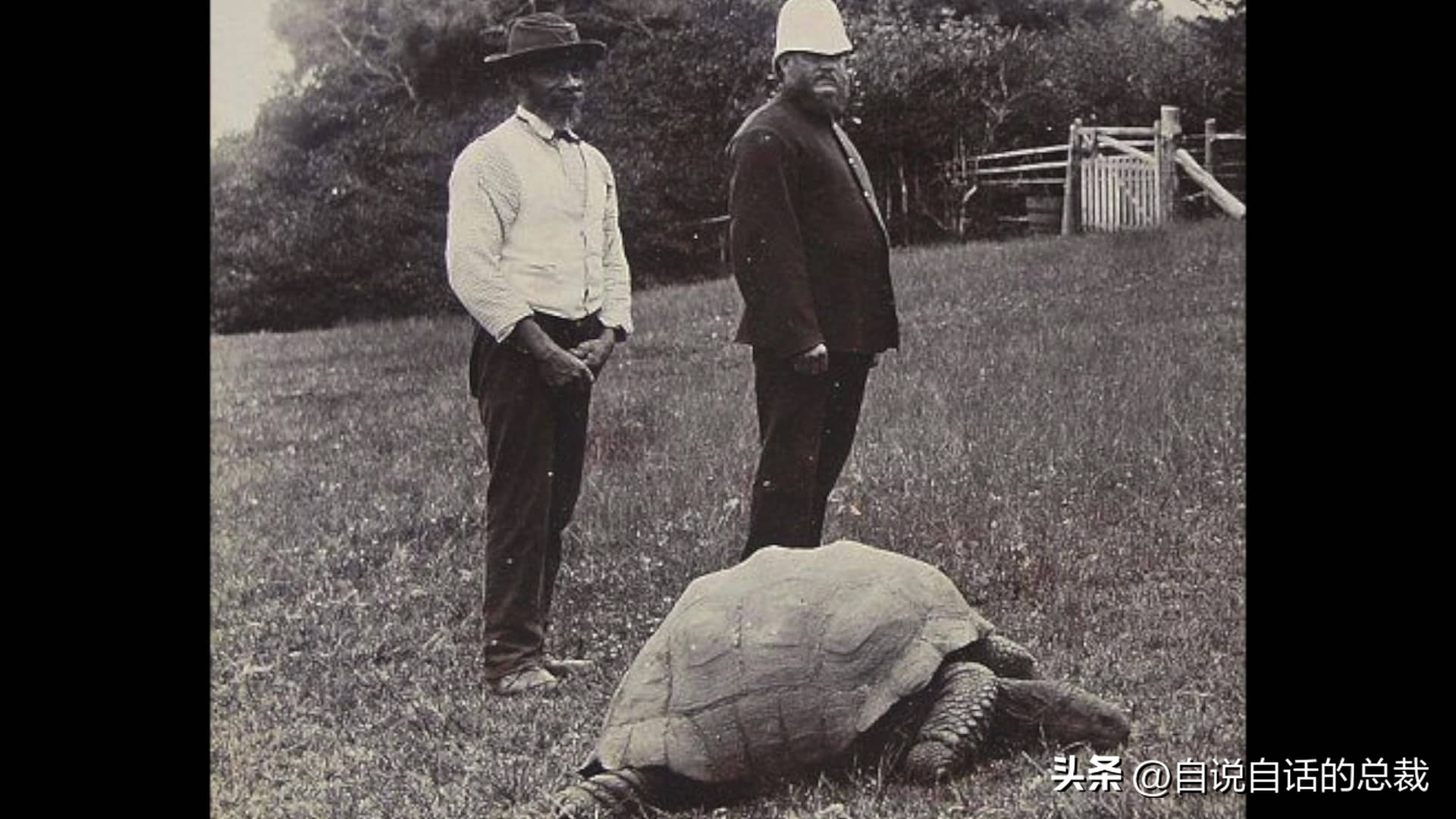 龟蛇大战,龟蛇大战故事