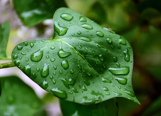 赏析第一课春4种修辞手法,初一语文第一课春有什么修辞手法