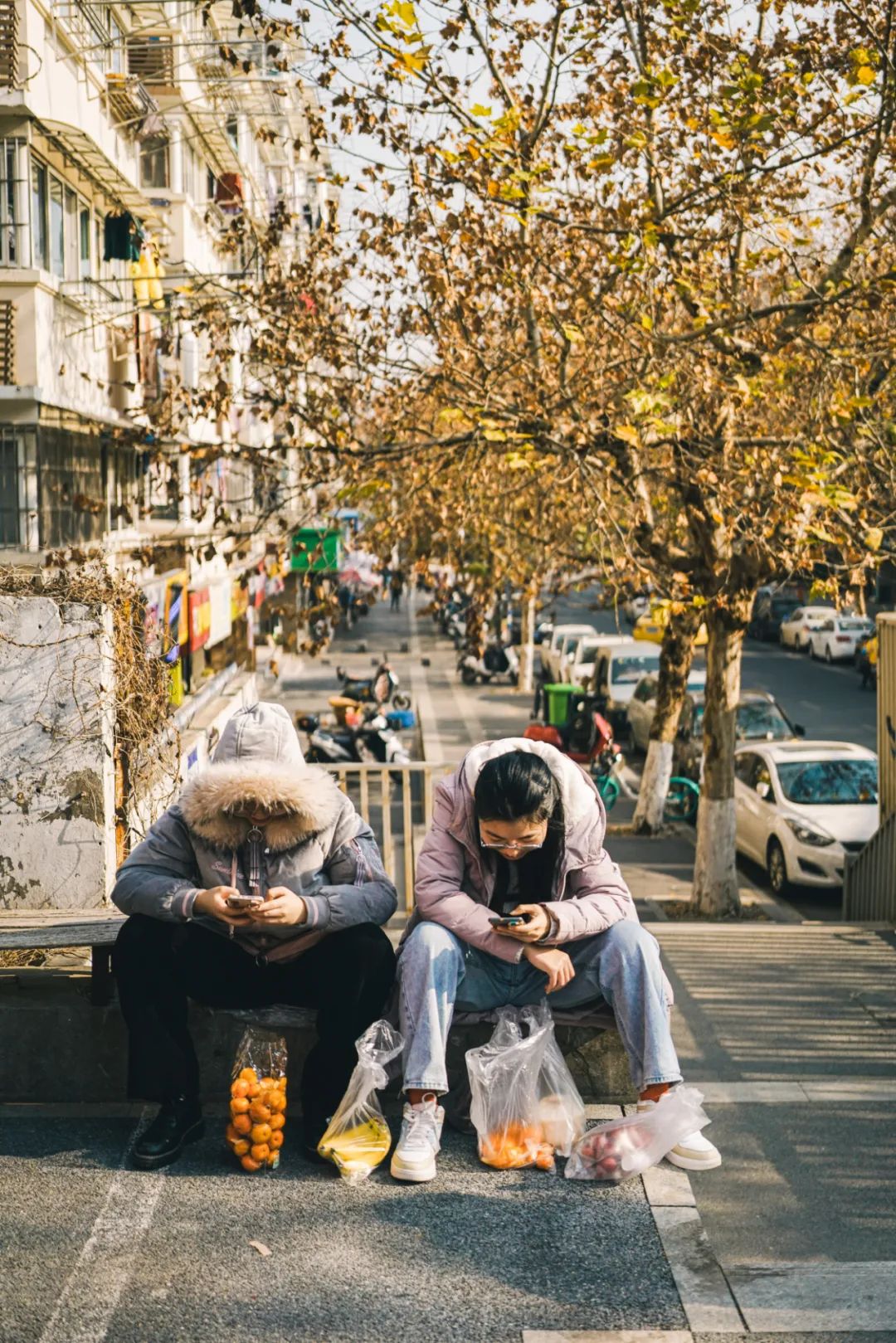 南京人的第一口奶---回到卫岗