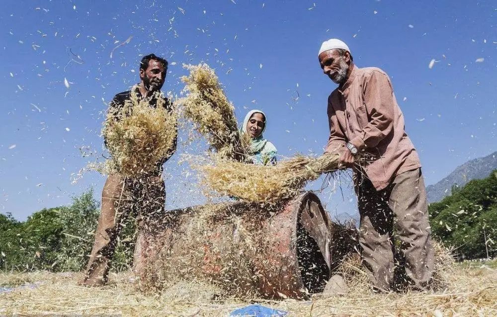 印度现实中的莫迪,印度莫迪野心勃勃视频