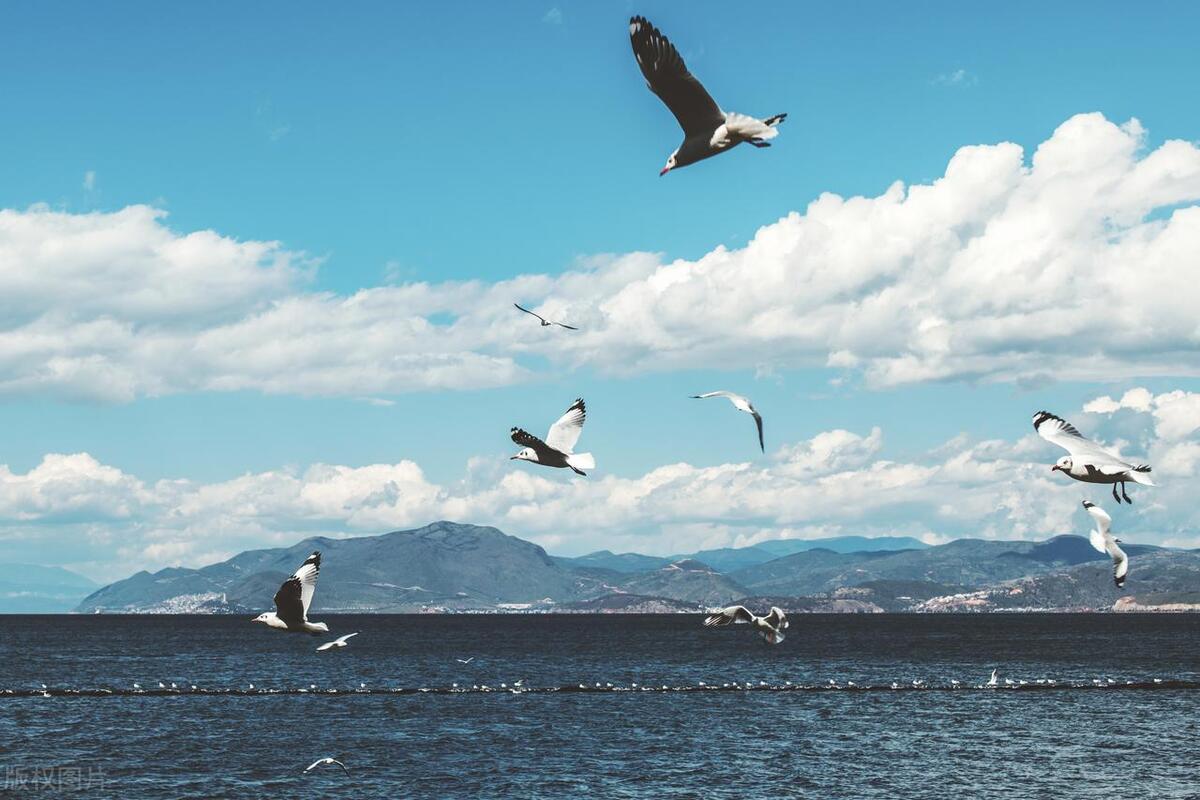 五一旅行攻略最值得去的六个景点,一月适合家人3-5天旅游景点推荐