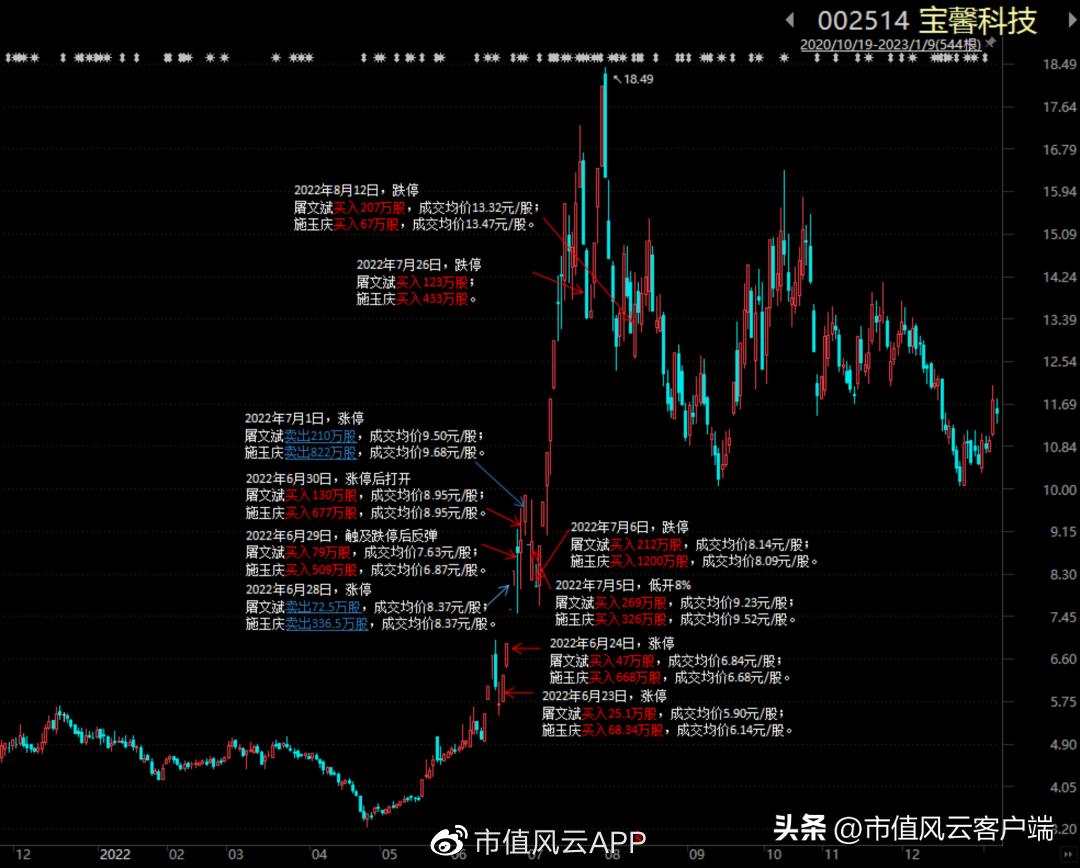 陈发树为什么被称为股神,福建首富股神陈发树