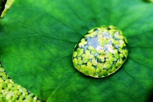 星云大师说人一定有运气,星云大师多做好事