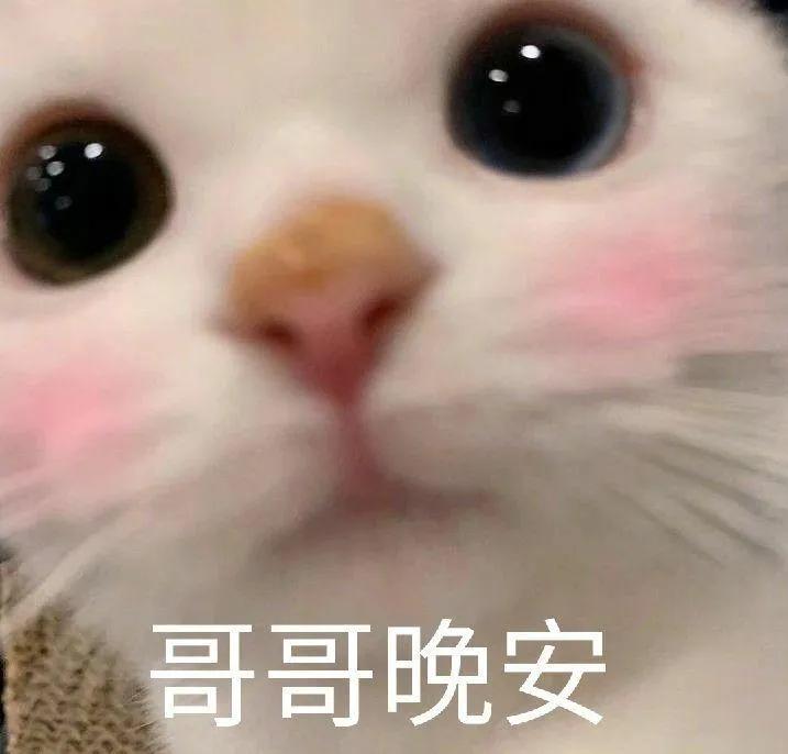 轻轻敲醒沉睡的心灵表情包高清,轻轻敲醒沉睡的心灵表情包