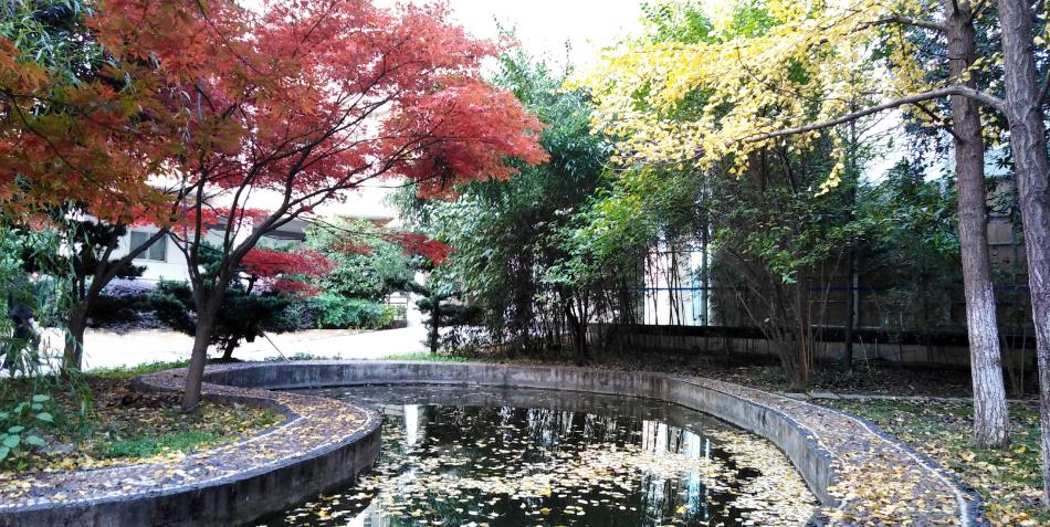 湖南财政经济学院以前是专科吗,湖南财政经济学院最新消息