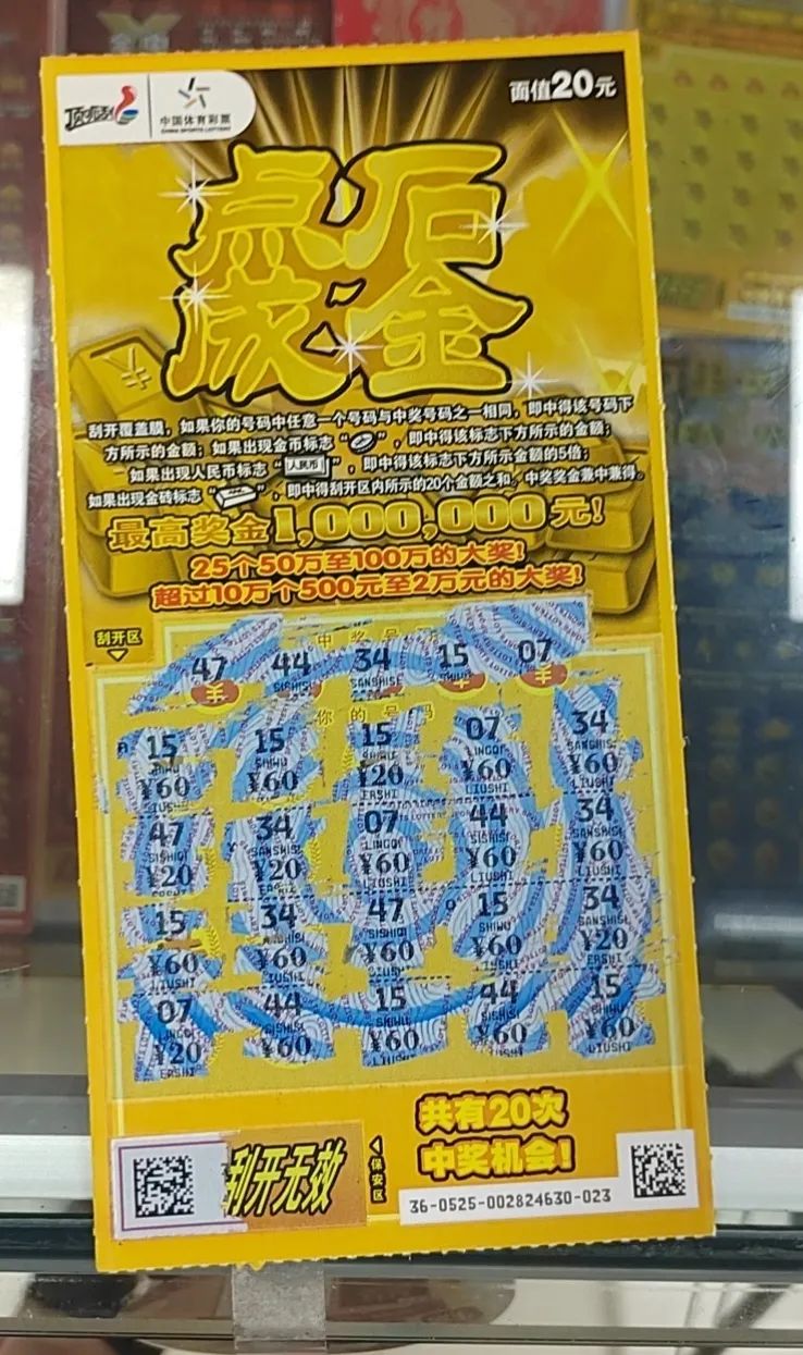 中国体育彩票官网浙江,2022浙江省体育彩票杯