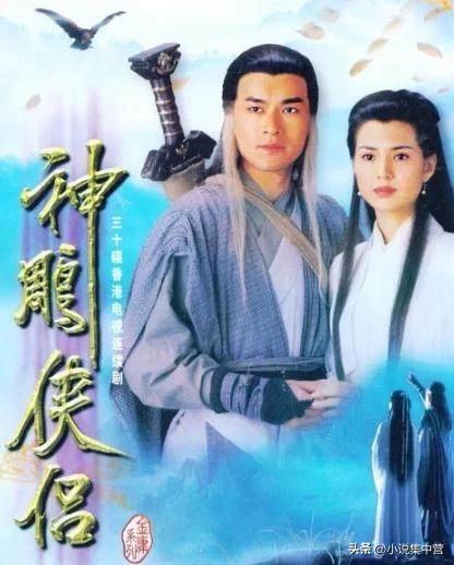 神雕侠侣小说第三回简介,神雕侠侣2武林宝鉴第31章