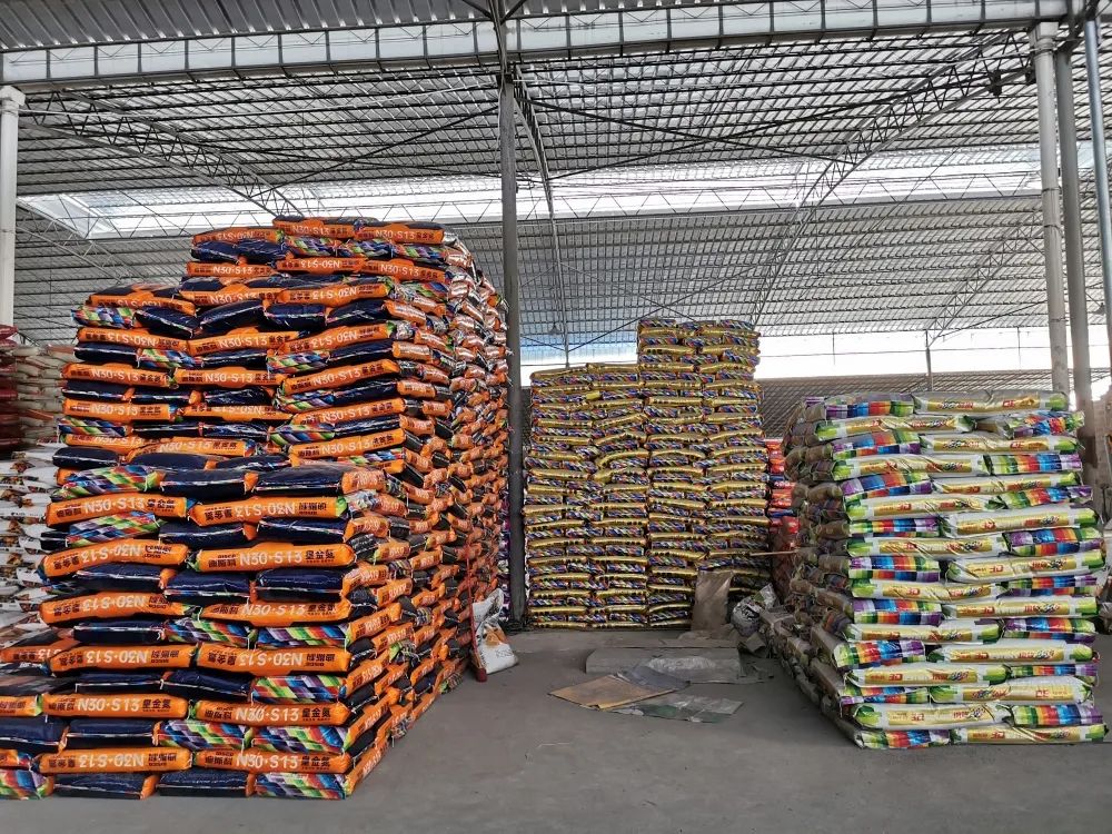 迪斯科品牌大使|严苛之下，更得人心