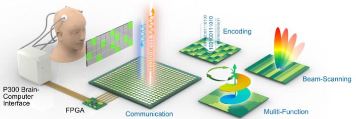 脑科学日报完整版,脑科博士谈降低痴呆症风险