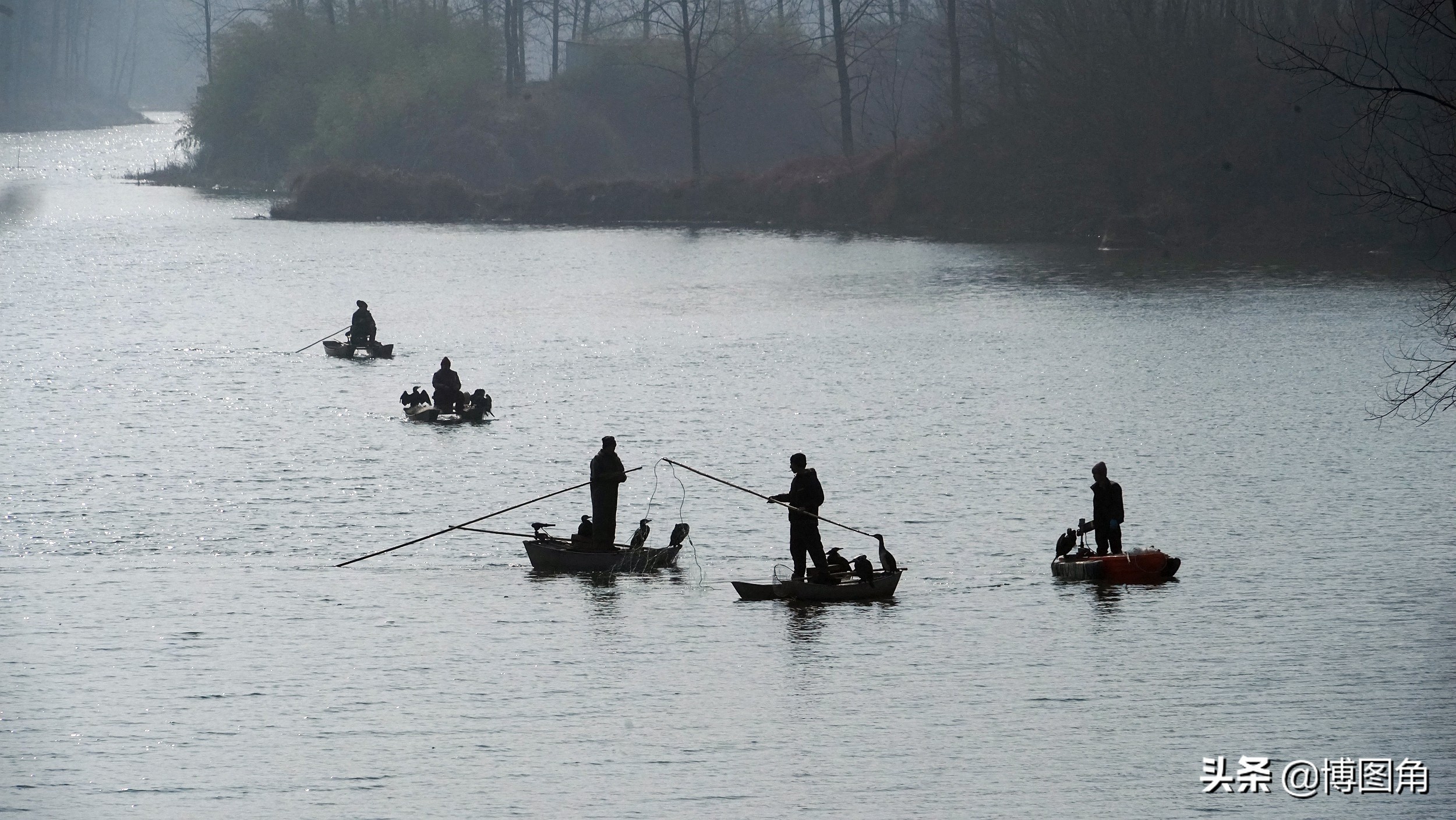 80年代农村鱼鹰捕鱼,渔民与鸬鹚捕鱼图片