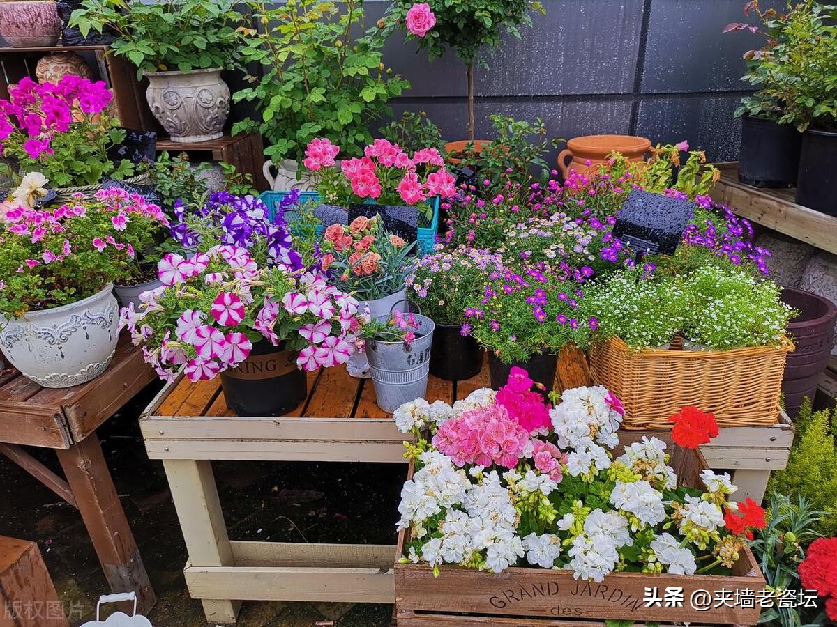 退休老人创业赚钱吗,退休后想在农村创业做什么好