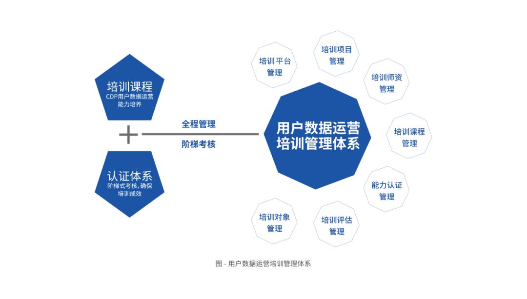 专访创略科技杨辰韵CDP走进“务实”阶段企业开始追求业务侧价值