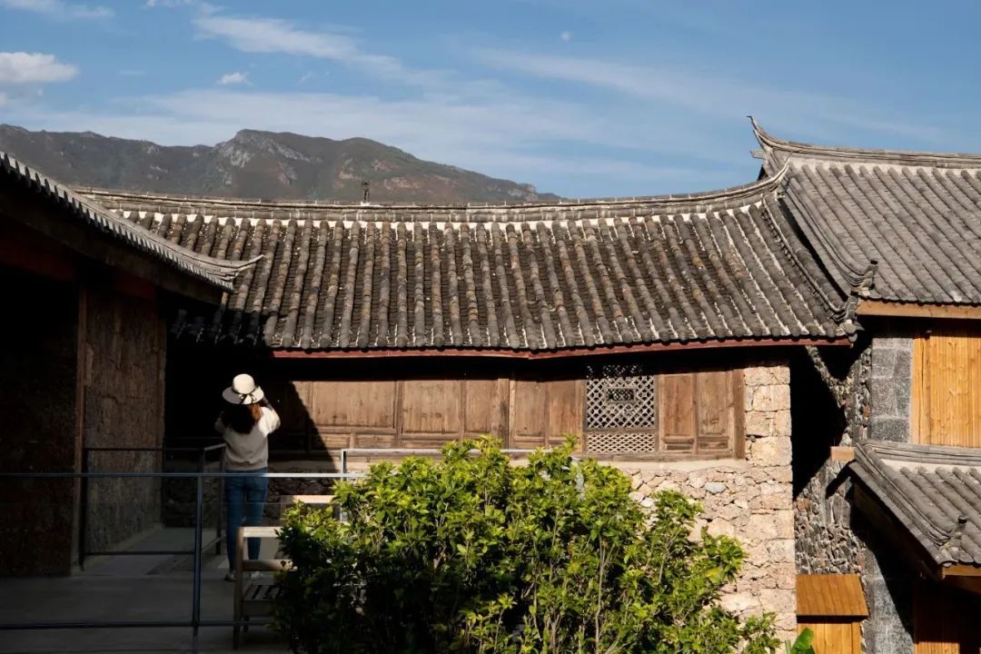 乡村振兴谋划不全不细典型案例,国内外乡村振兴典型代表及案例