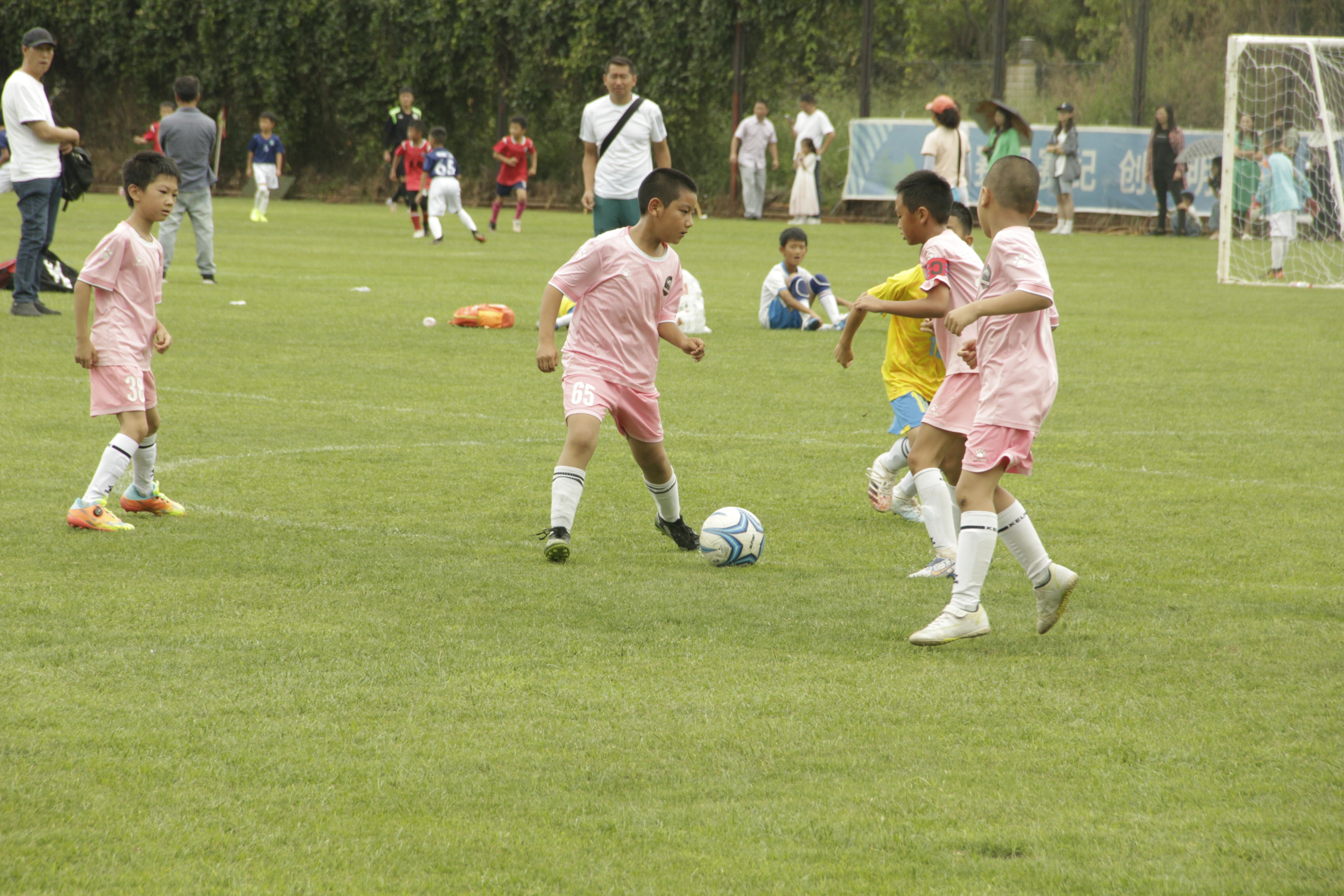 昆明2023奋进杯足球赛,昆明市小学生奋进杯