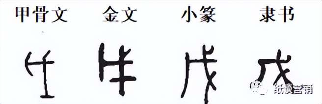 十天干象意详解,十天干冲合口诀