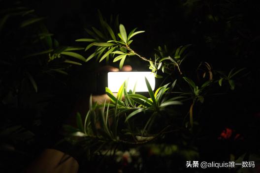 可以当灯光用的手电筒,能当灯的音响