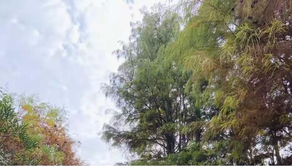 拆开汉字看人生真的绝了,30个汉字拆开看30个角度悟人生