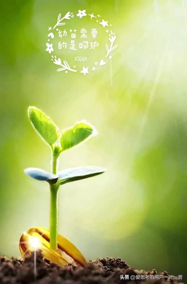 在他眼里我们都是小白兔#