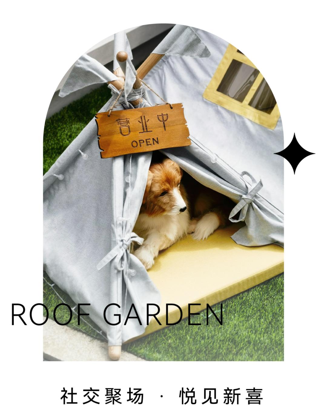 MDG美林设计集团:城心桃院,望见生活归处