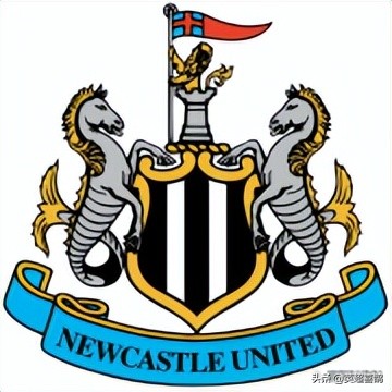 纽卡斯尔球迷多吗,纽卡斯尔球队历史