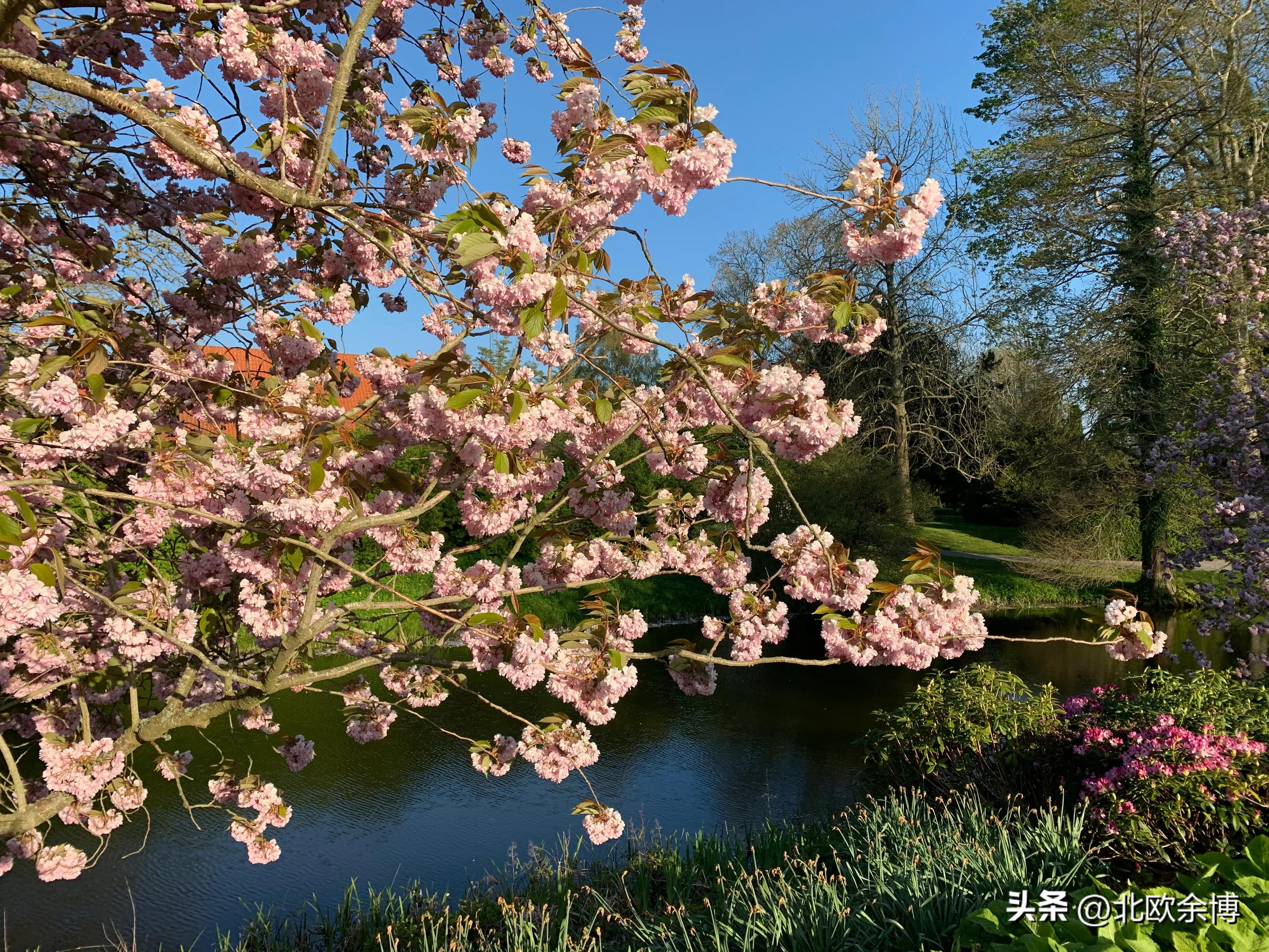 国外老婆可以上户口吗,国外有户口制度吗