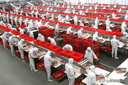 双汇火腿肠黑幕,双汇黑幕