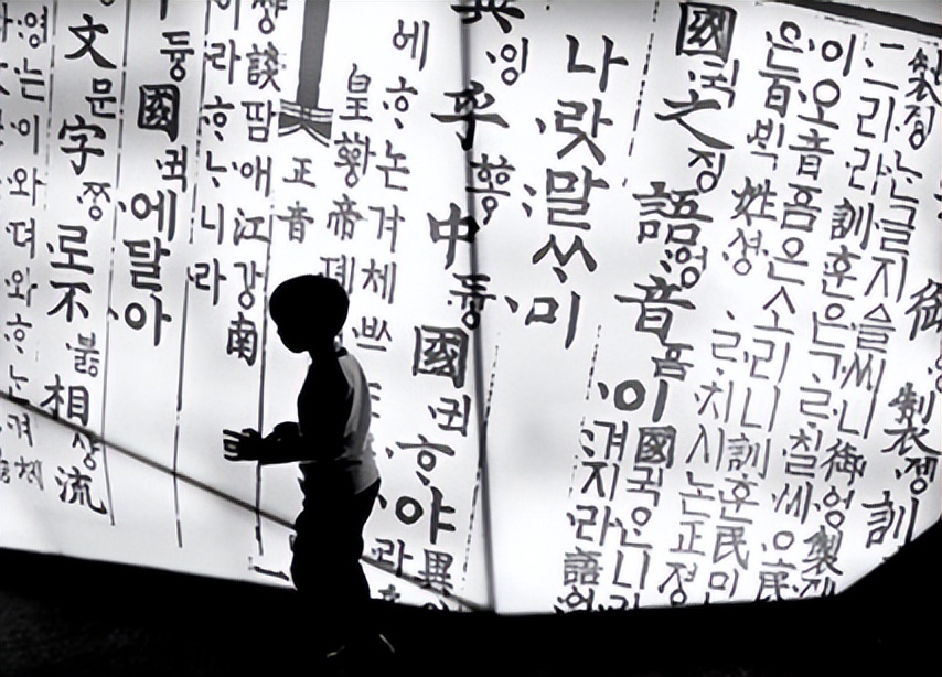 韩国宪法存在的问题,韩国宪法中的汉字