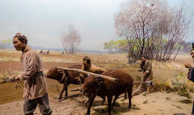 男怕小嘴女怕大鼻的意思,男怕嘴小女怕大鼻是怎么回事