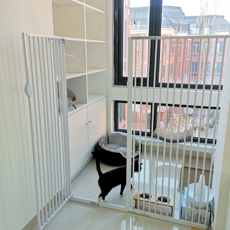 猫咪为什么上床,为什么猫咪上床还咬人