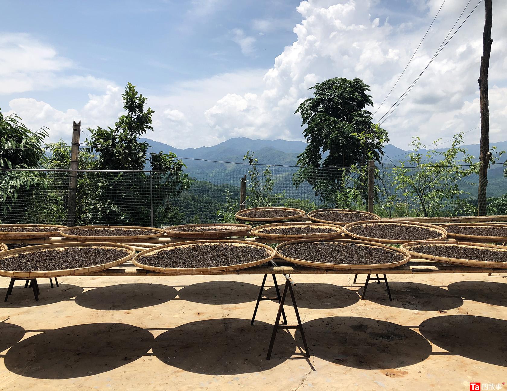 中茶黑茶哪款最好喝,黑茶好还是铁观音茶好